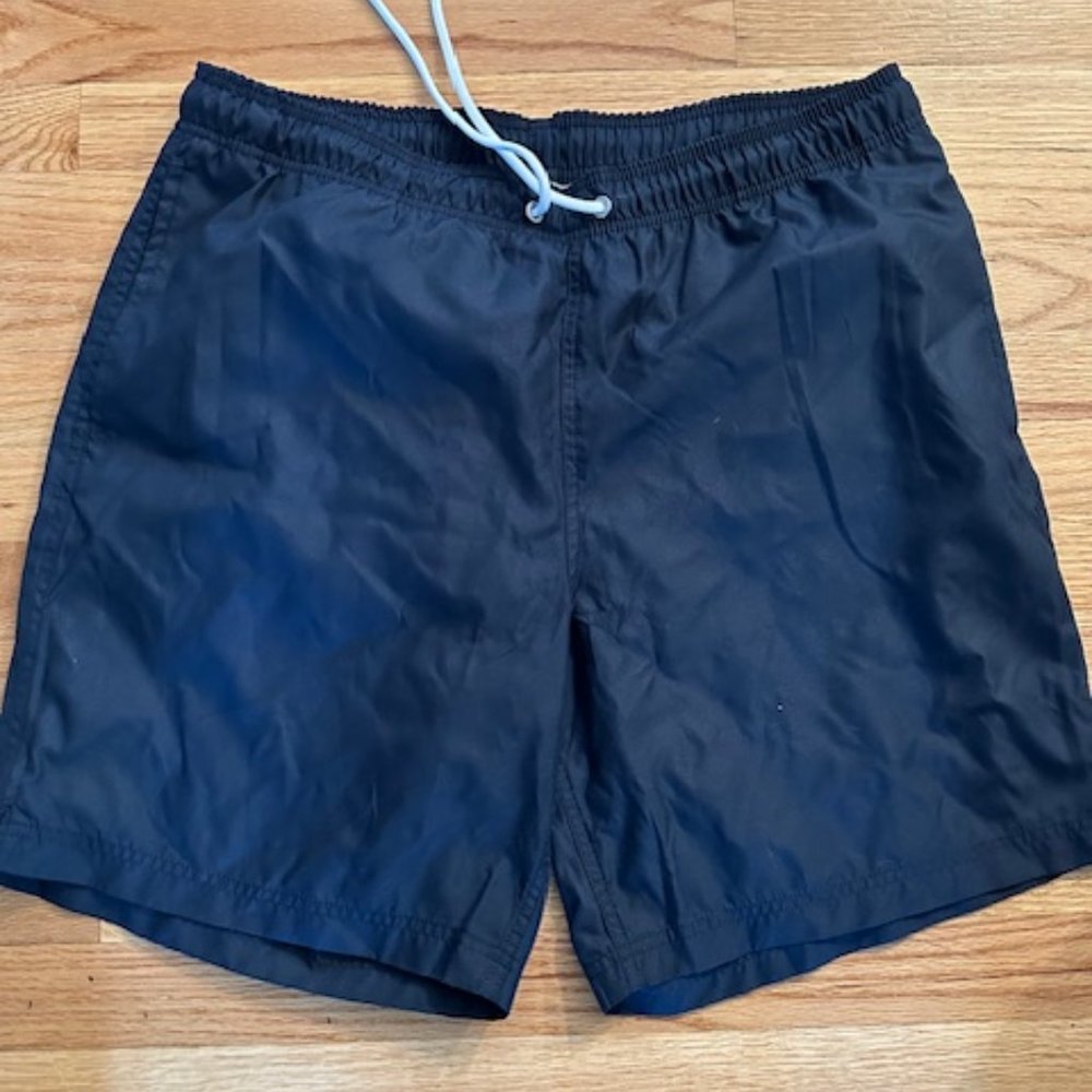 Land's End 8" Volley Swim Trunks -,  Navy Blue, Size Mens Large (36"-38" Waist)